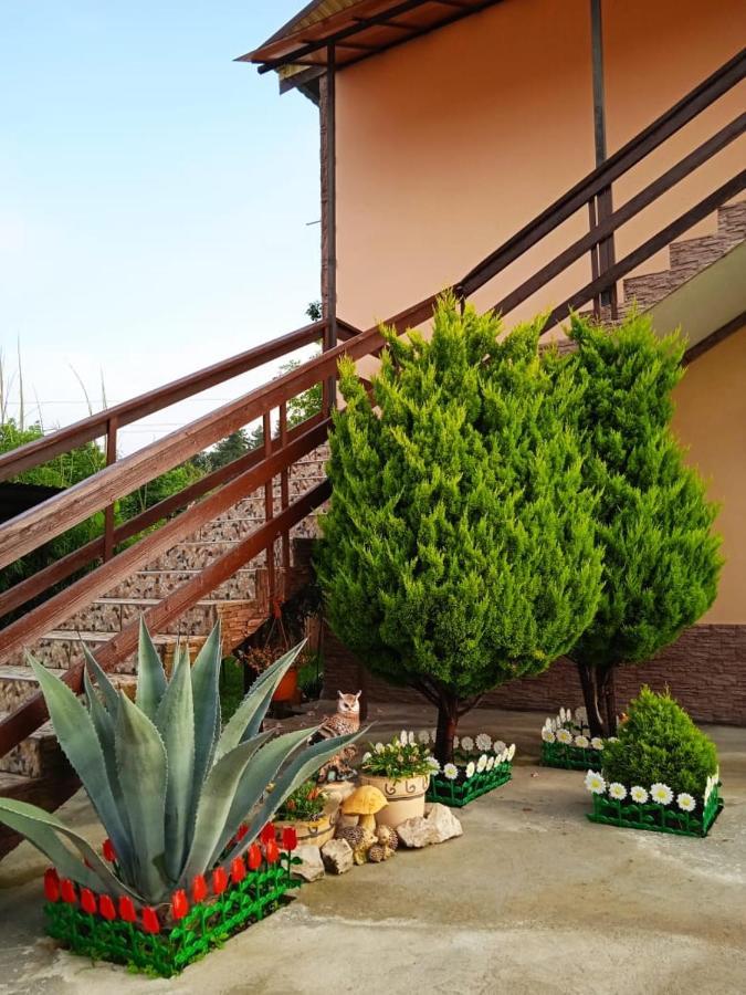 Hotel Изабелла Pizunda Exterior foto